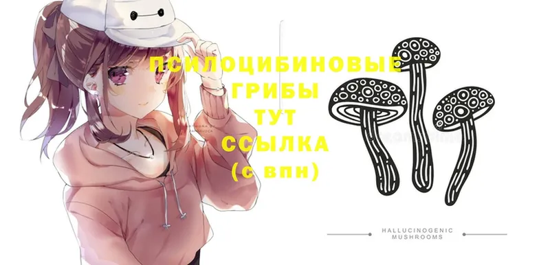 Псилоцибиновые грибы MAGIC MUSHROOMS  hydra ссылка  Грайворон  наркота 